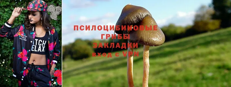 дарк нет формула  Кукмор  Галлюциногенные грибы MAGIC MUSHROOMS 